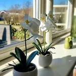 Gemuetliches-ferienhaus-mit-niedlichem-anbau Holiday home *