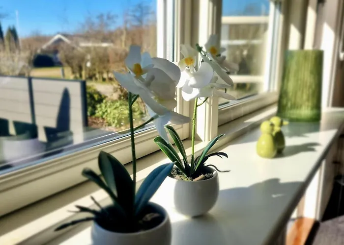 Gemuetliches-ferienhaus-mit-niedlichem-anbau Casa de Férias *